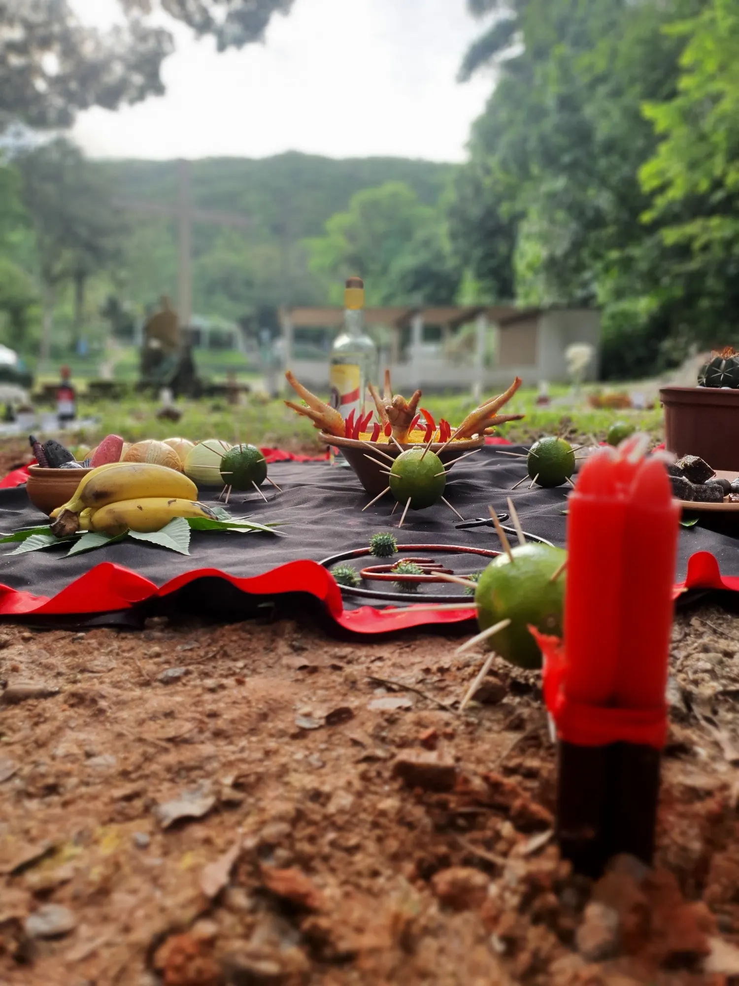 Oferenda aos Mirins na mata, sobre toalha preta com babado vermelho, com frutas, velas e garrafa