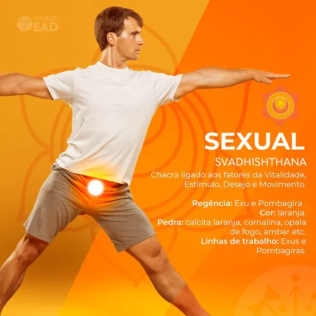 Chacra sexual - Linha do Oriente -TEUSSP EAD
