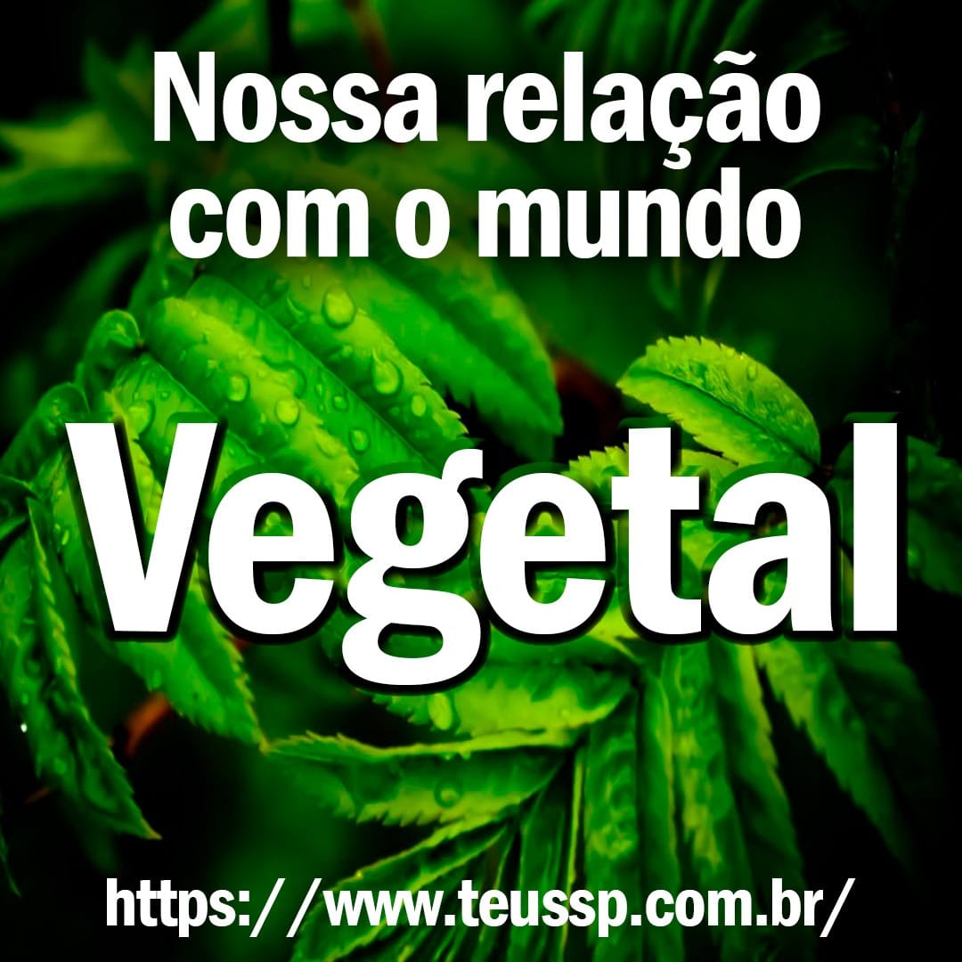 Nossa relação com o mundo vegetal