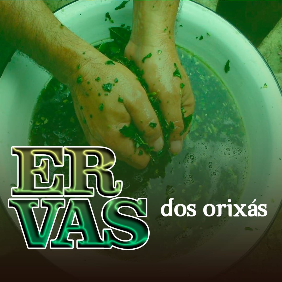 Ervas dos Orixás
